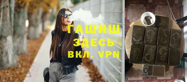 стаф Гусев