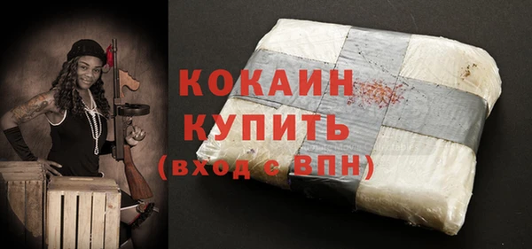 стаф Гусев