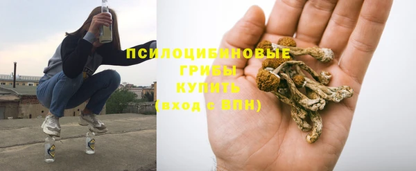 стаф Гусев