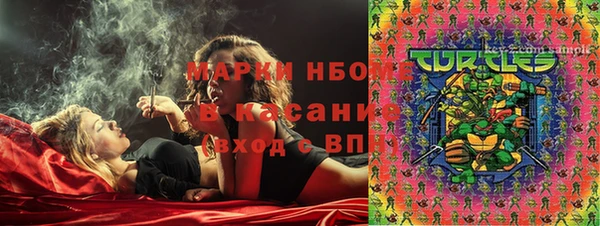 стаф Гусев