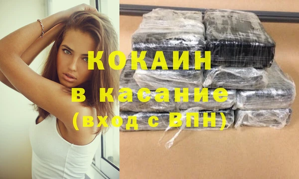 стаф Гусев