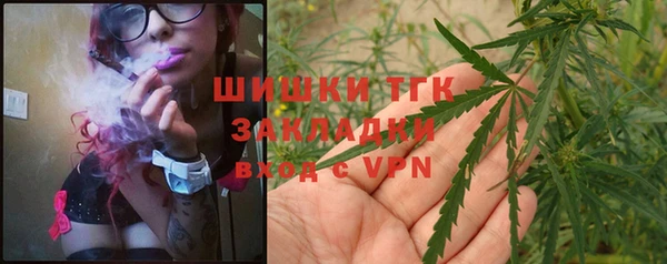 стаф Гусев