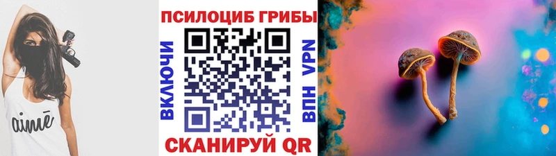 Купить закладки  Зуевка  Псилоцибиновые грибы прущие грибы 