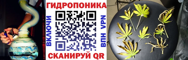 Каннабис конопля  Купить закладки  Зуевка 